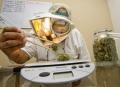Is marijuana as dangerous as heroin, LSD and peyote? DEA report could lower cannabis ranking  - The Orange County Register