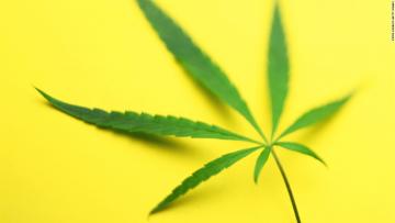 Marijuana: Regular users have more sex, study says - CNN