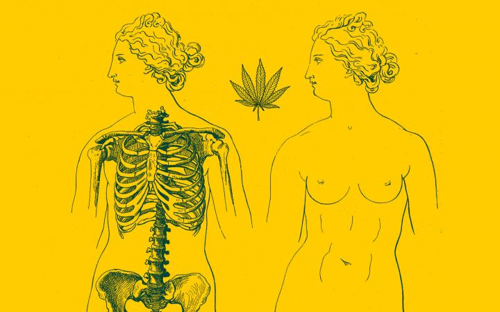 Women and weed: A history of cannabis and women's health
