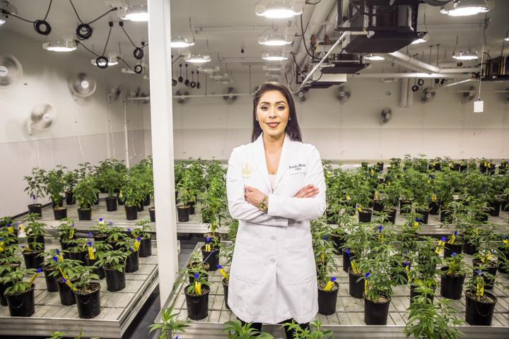 A Queen’s Rise: How Priscilla Vilchis Became Cannabis Industry R